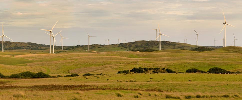 Cape Bridgewater Wind Farm - VIC