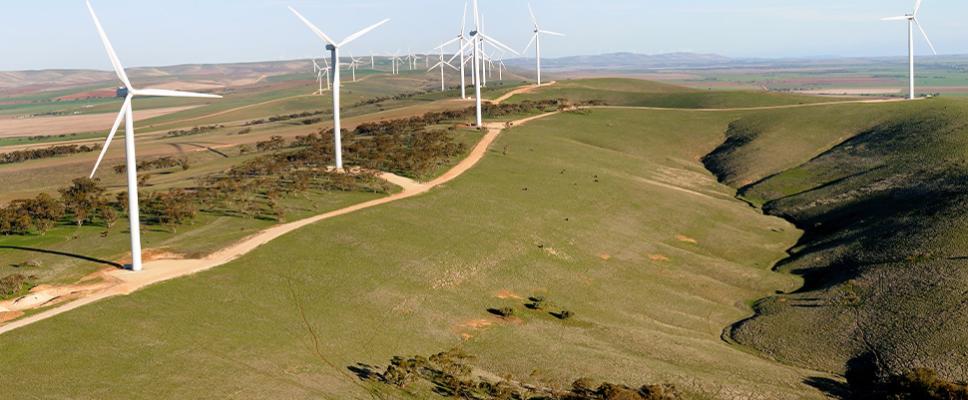 Clements Gap Wind Farm - SA
