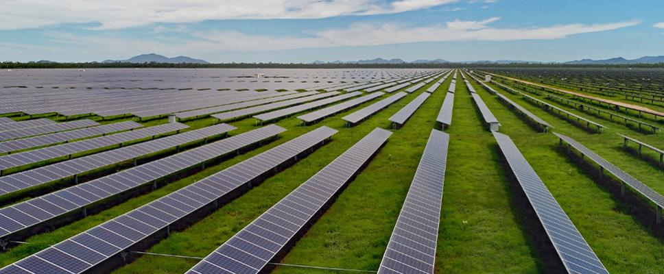 Haughton Solar Farm - QLD