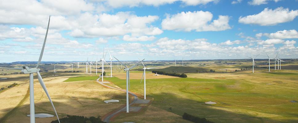 Taralga Wind Farm - NSW