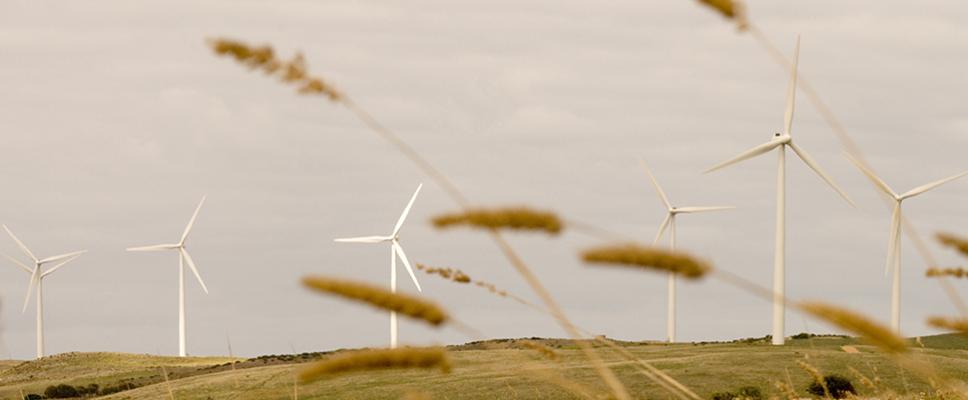 Codrington Wind Farm - VIC